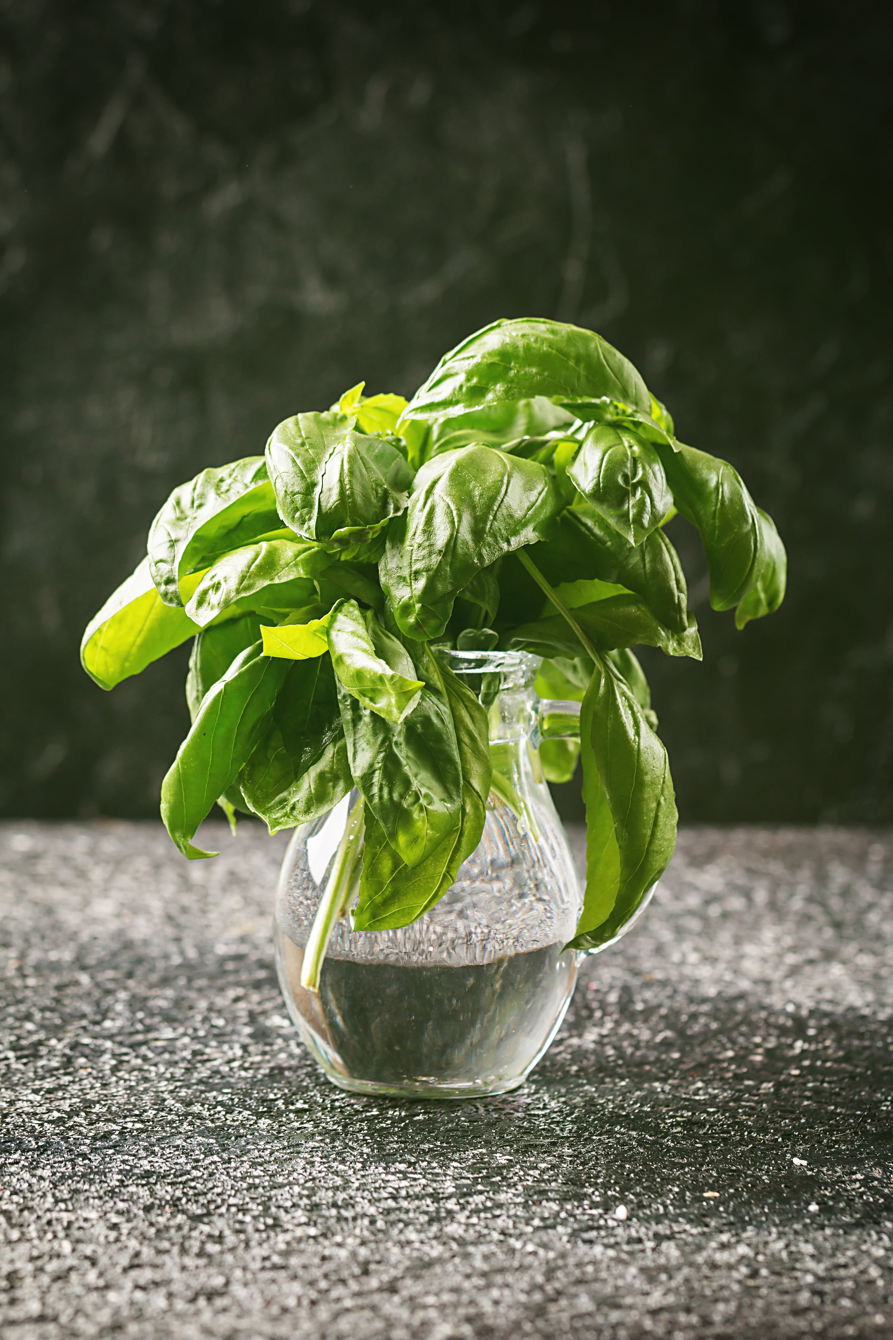 The Best Plants for Beginners to Grow in Hydroponics and Their Growing Conditions